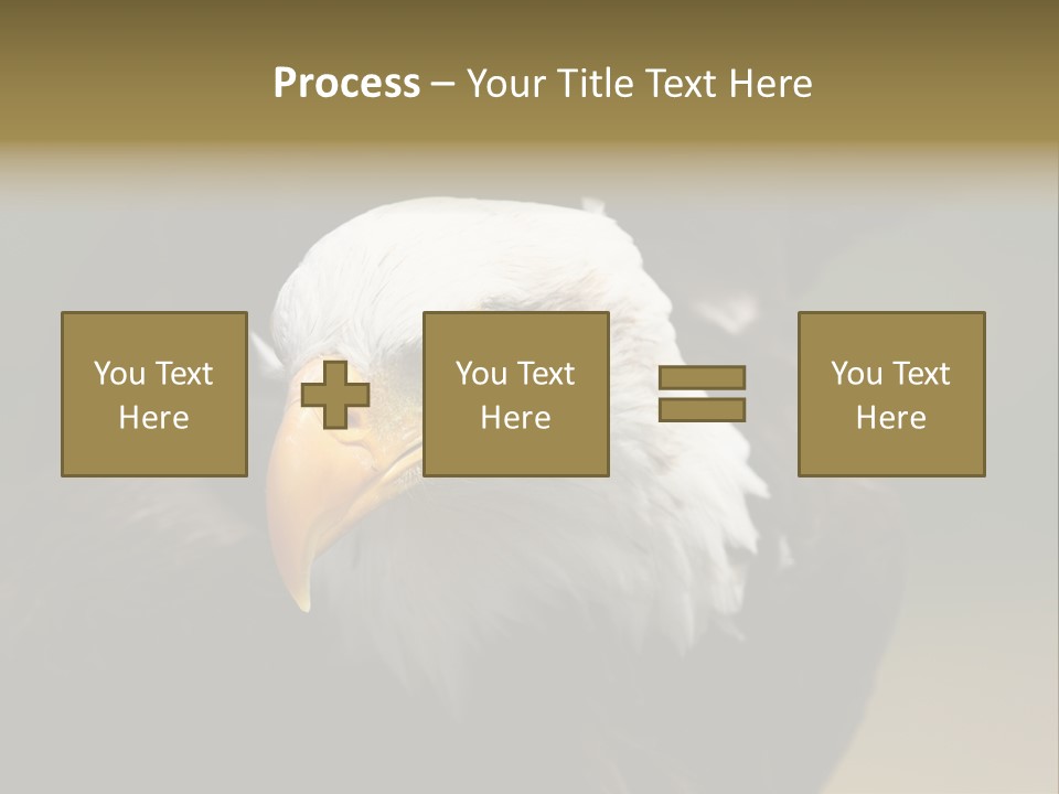 Siyah Beyaz Kartal PowerPoint Template