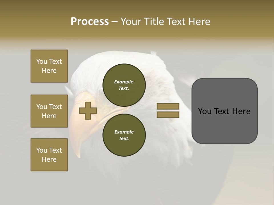 Siyah Beyaz Kartal PowerPoint Template