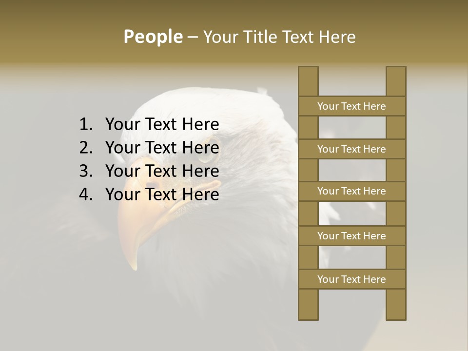 Siyah Beyaz Kartal PowerPoint Template