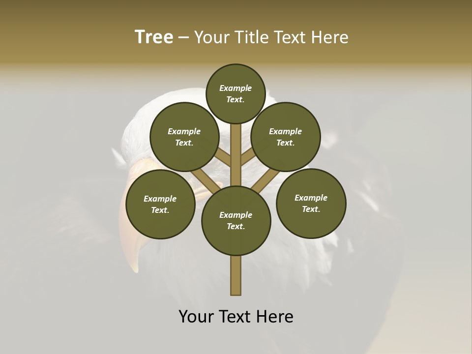 Siyah Beyaz Kartal PowerPoint Template