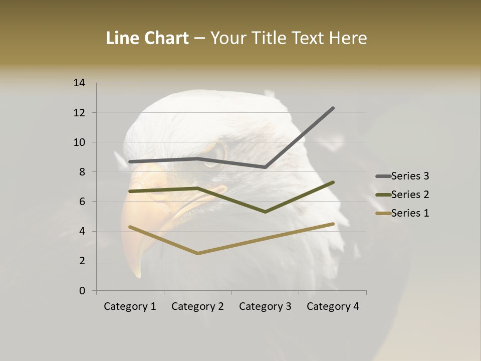 Siyah Beyaz Kartal PowerPoint Template