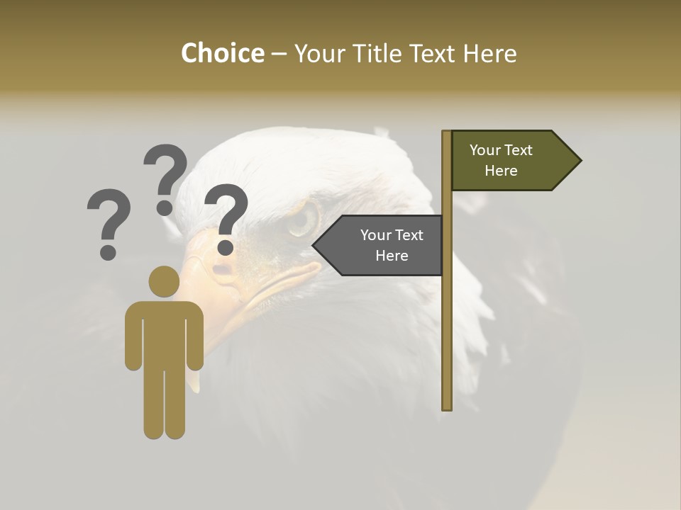 Siyah Beyaz Kartal PowerPoint Template