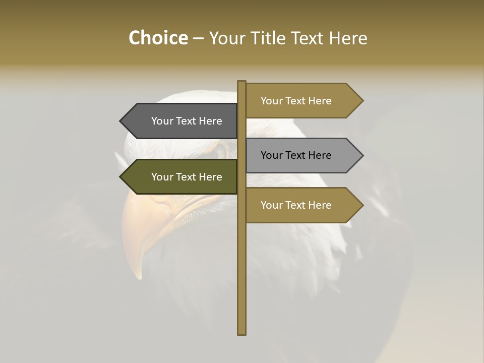Siyah Beyaz Kartal PowerPoint Template