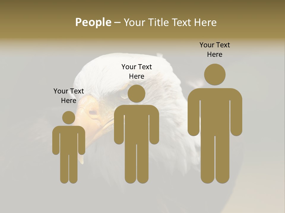 Siyah Beyaz Kartal PowerPoint Template