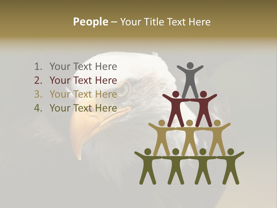 Siyah Beyaz Kartal PowerPoint Template