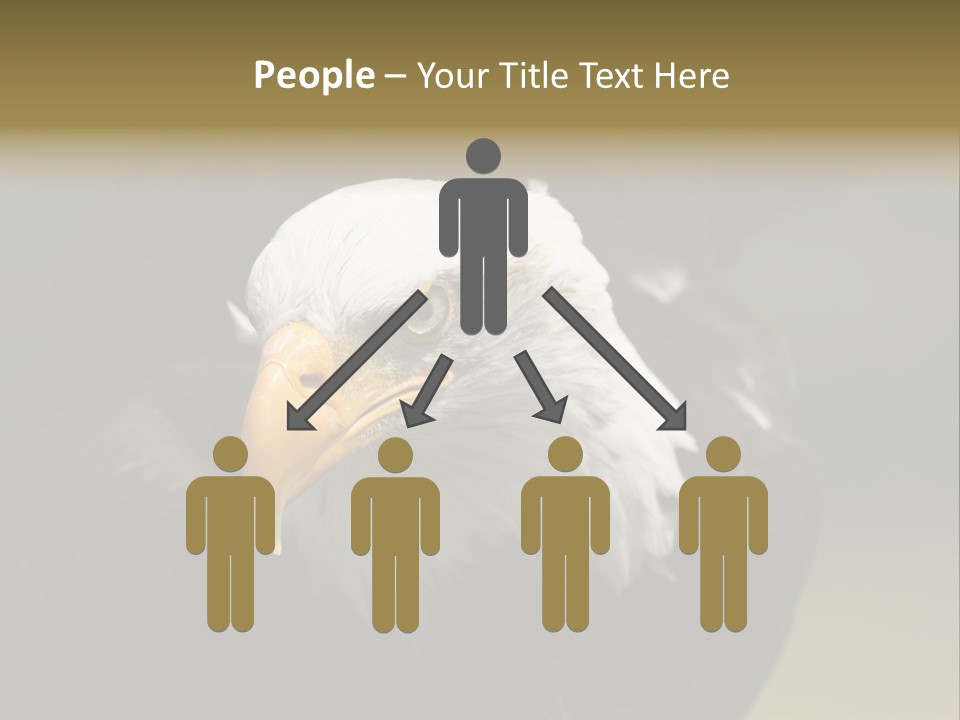 Siyah Beyaz Kartal PowerPoint Template