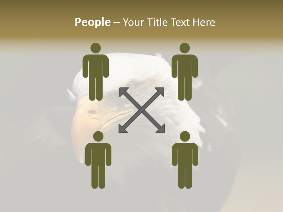 Siyah Beyaz Kartal PowerPoint Template