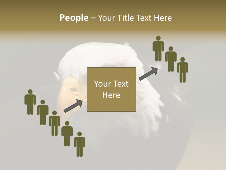 Siyah Beyaz Kartal PowerPoint Template