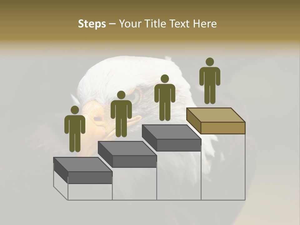 Siyah Beyaz Kartal PowerPoint Template