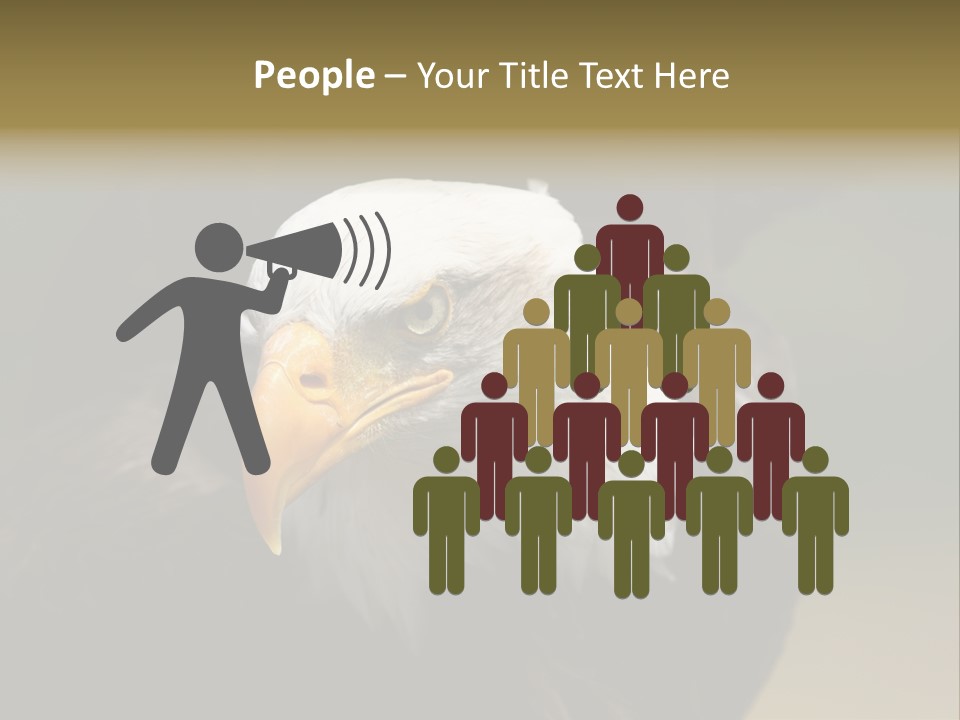 Siyah Beyaz Kartal PowerPoint Template