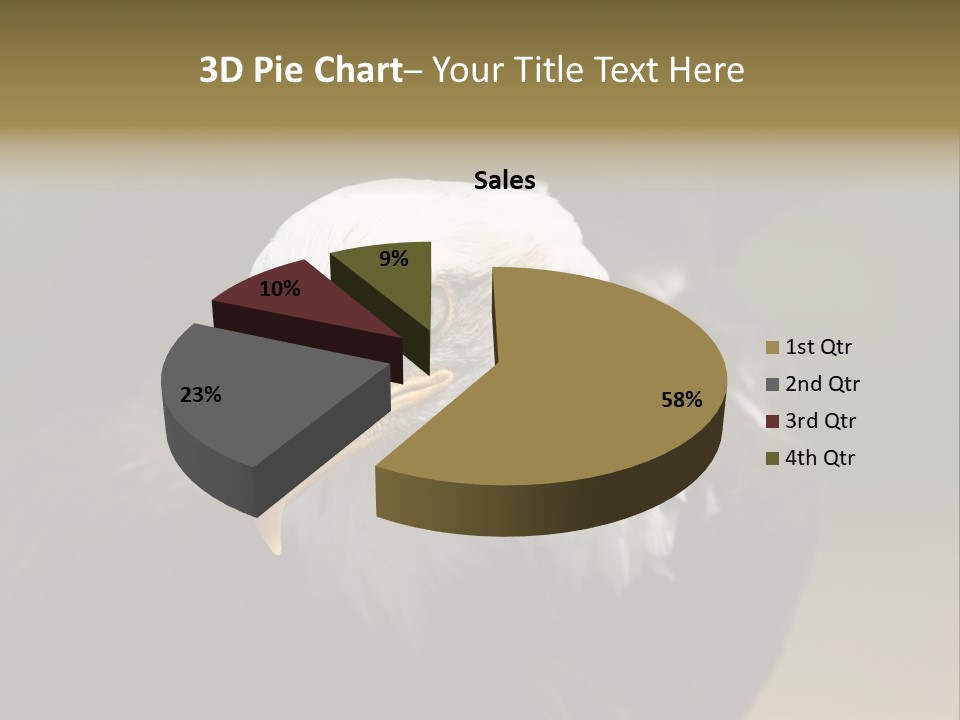 Siyah Beyaz Kartal PowerPoint Template