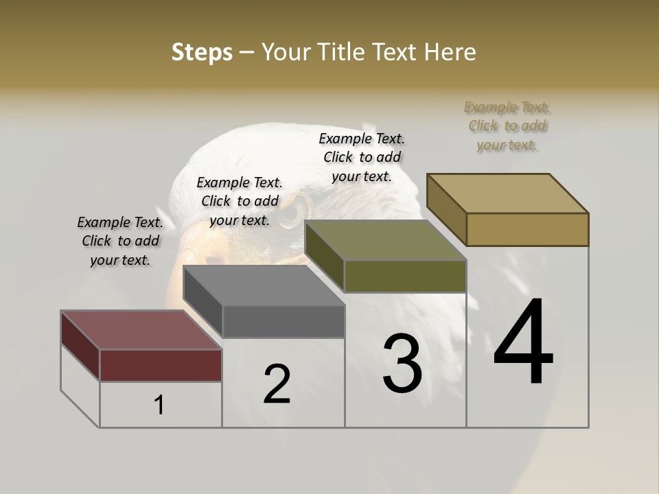 Siyah Beyaz Kartal PowerPoint Template