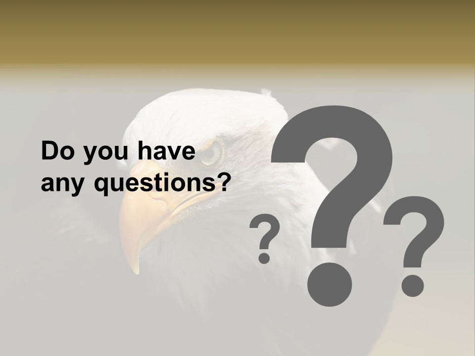 Siyah Beyaz Kartal PowerPoint Template