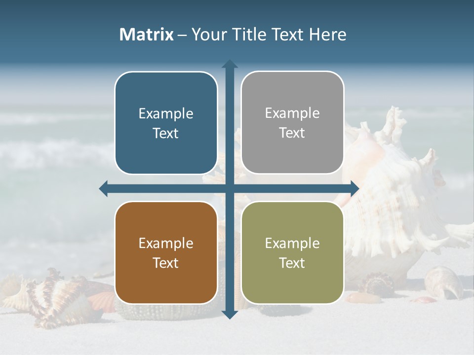 Beach Shell PowerPoint Template