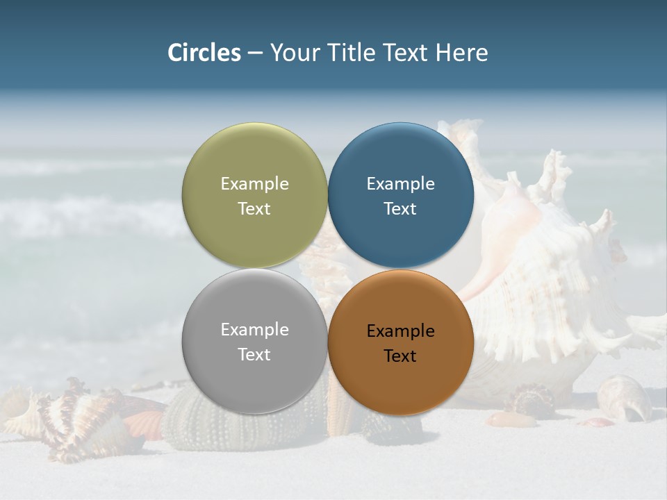 Beach Shell PowerPoint Template