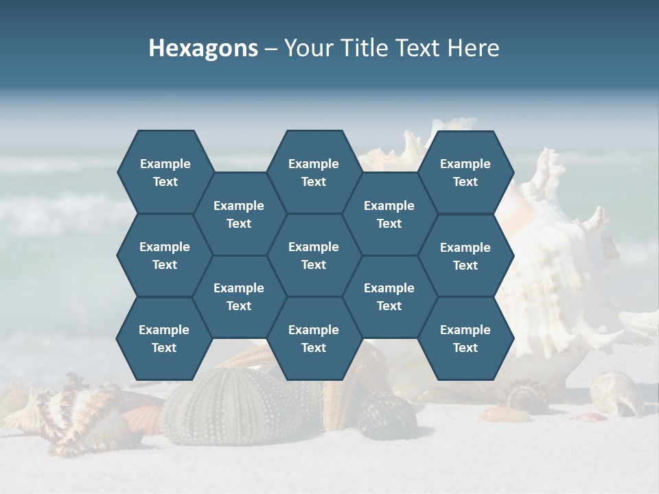 Beach Shell PowerPoint Template