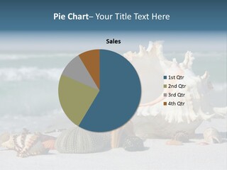 Beach Shell PowerPoint Template