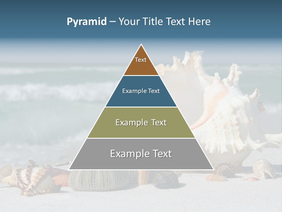 Beach Shell PowerPoint Template