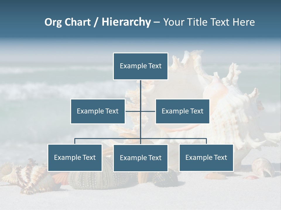 Beach Shell PowerPoint Template