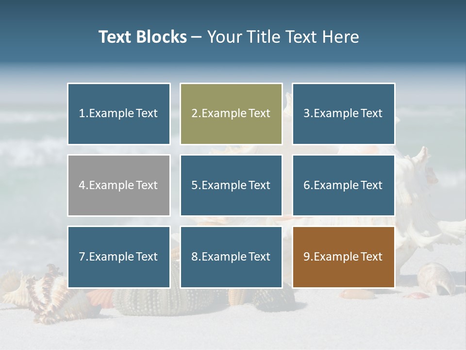 Beach Shell PowerPoint Template