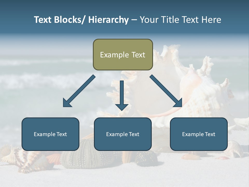 Beach Shell PowerPoint Template