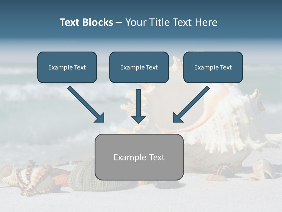 Beach Shell PowerPoint Template
