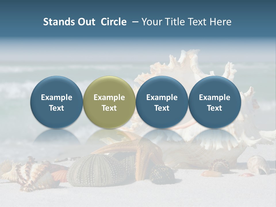 Beach Shell PowerPoint Template