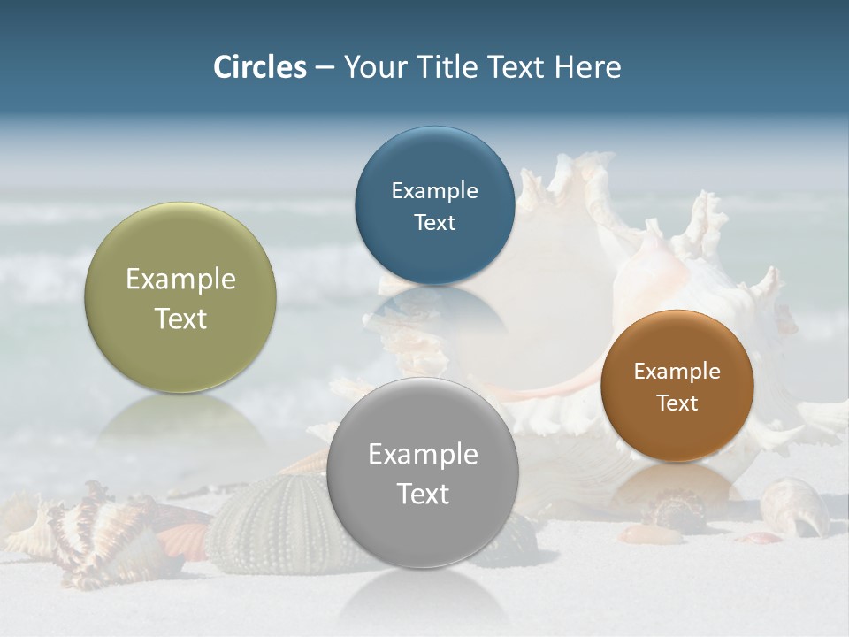 Beach Shell PowerPoint Template