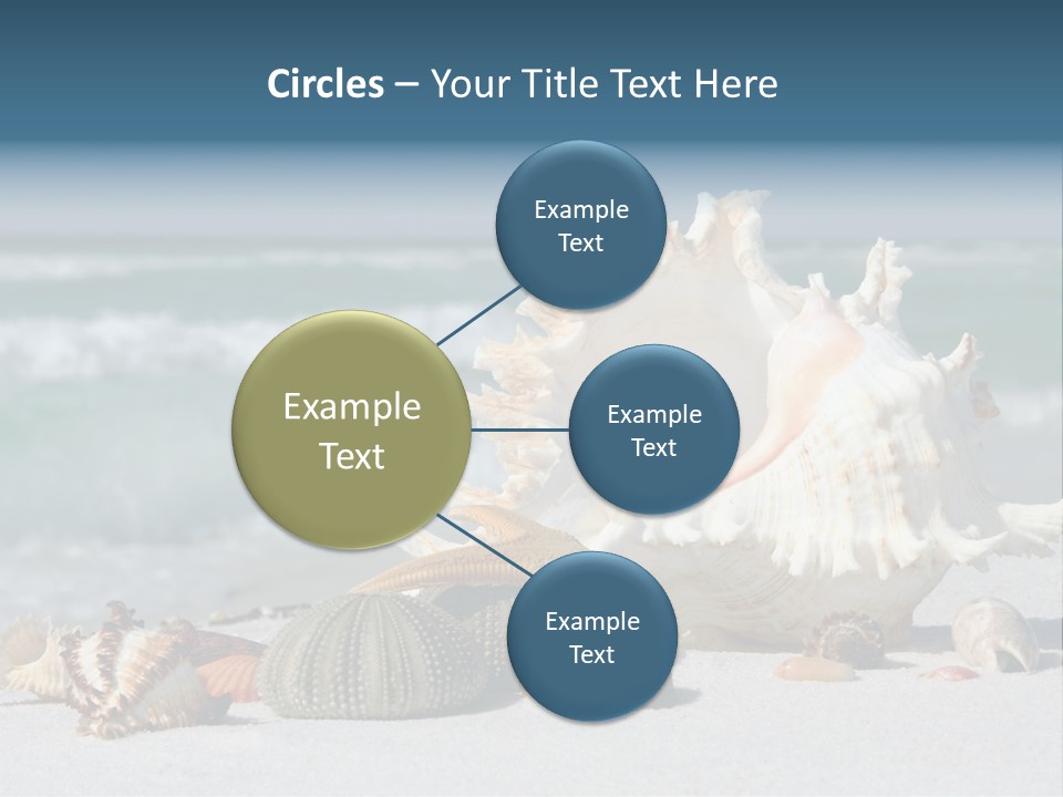 Beach Shell PowerPoint Template