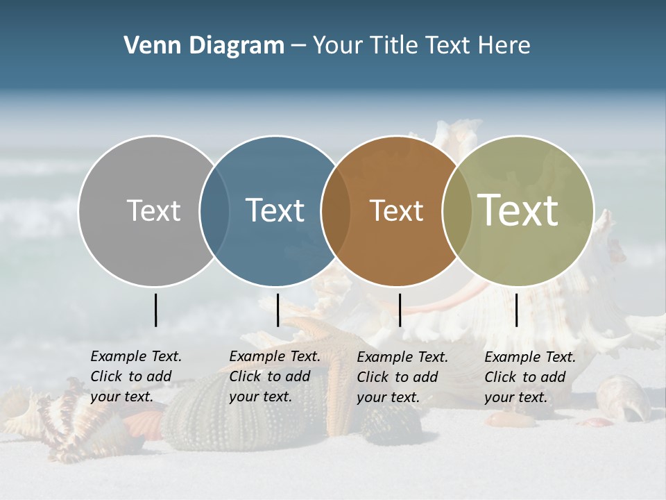 Beach Shell PowerPoint Template