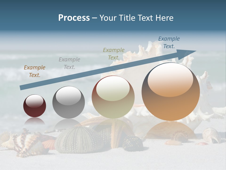 Beach Shell PowerPoint Template