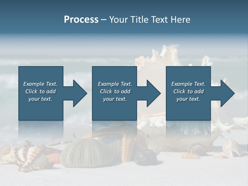 Beach Shell PowerPoint Template