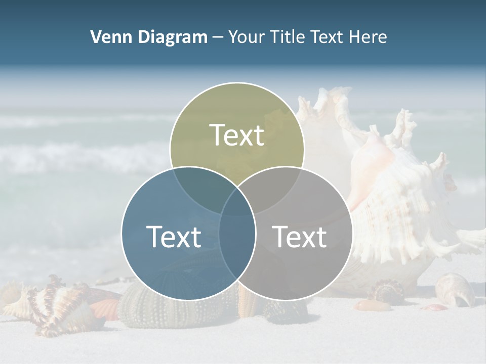 Beach Shell PowerPoint Template