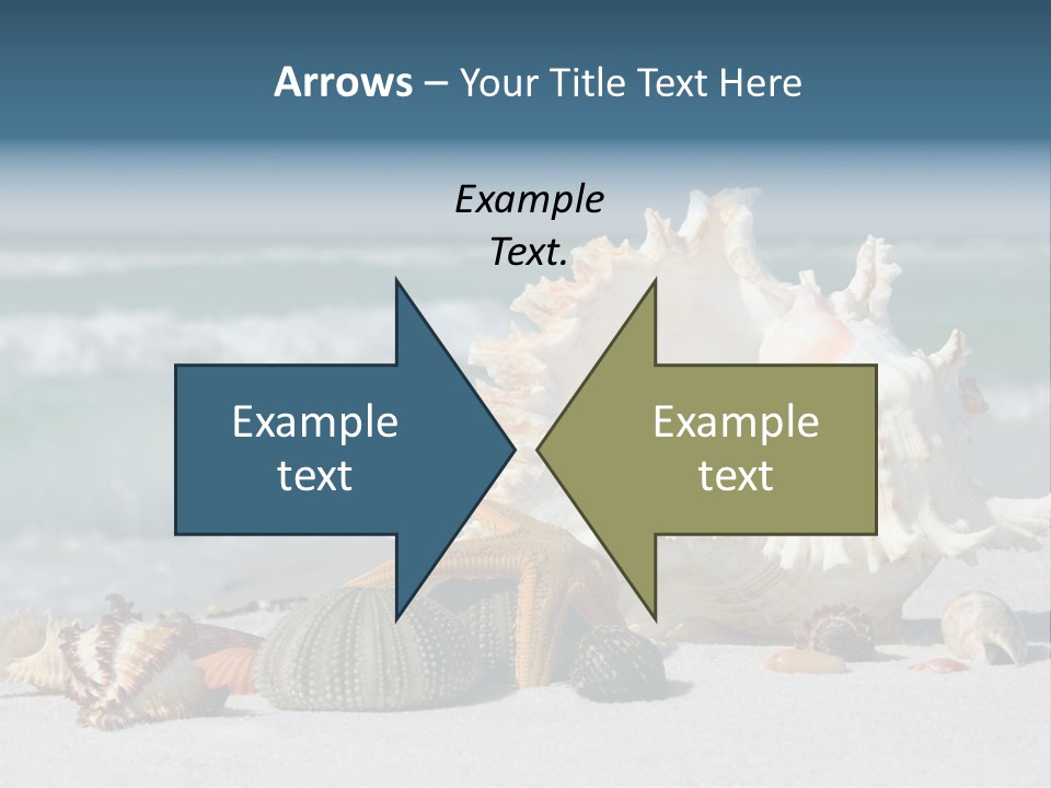 Beach Shell PowerPoint Template