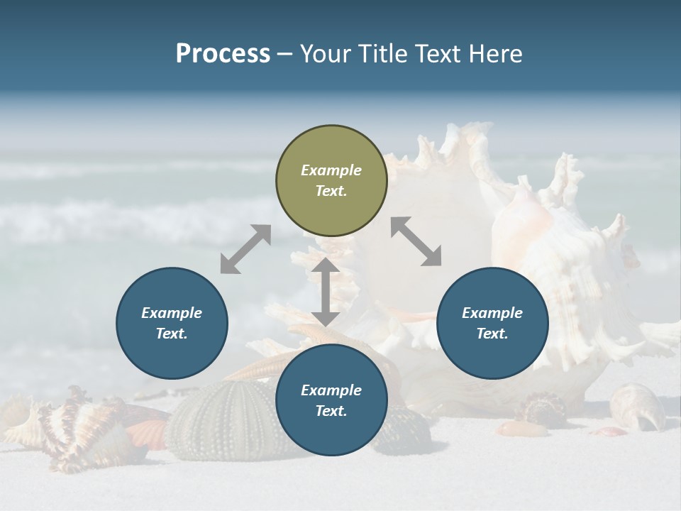 Beach Shell PowerPoint Template