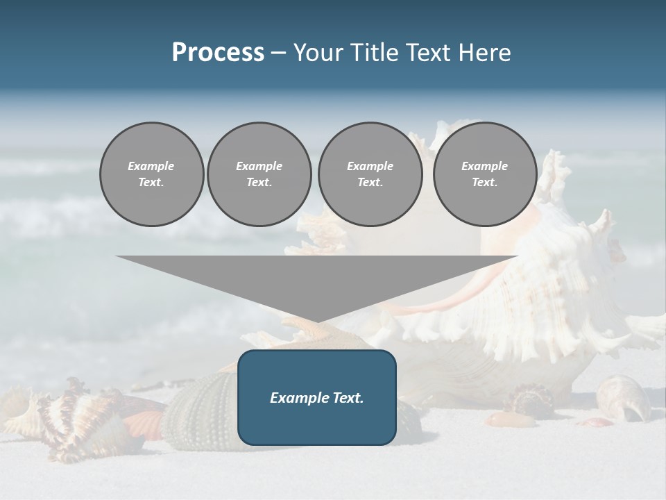 Beach Shell PowerPoint Template
