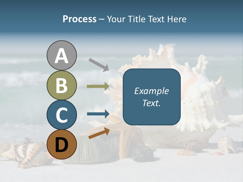 Beach Shell PowerPoint Template