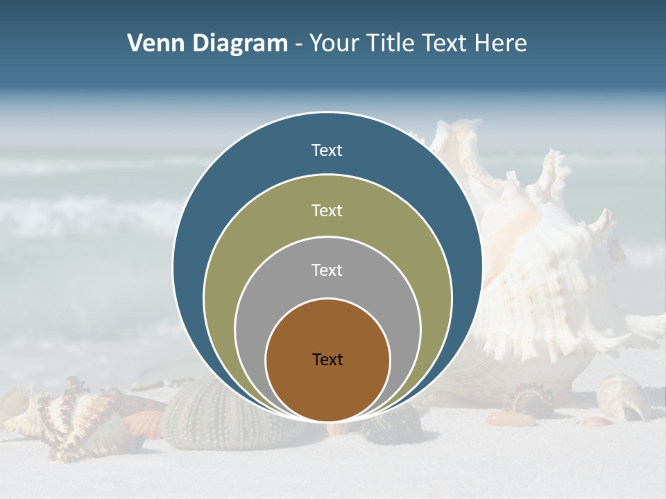 Beach Shell PowerPoint Template
