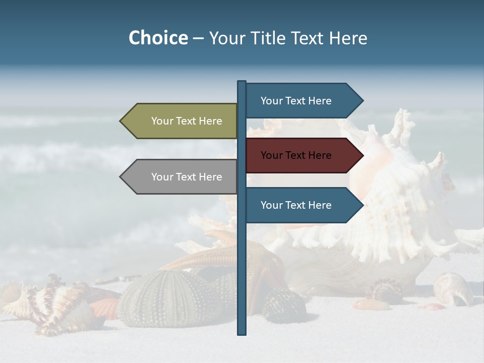Beach Shell PowerPoint Template