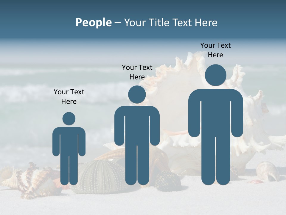 Beach Shell PowerPoint Template