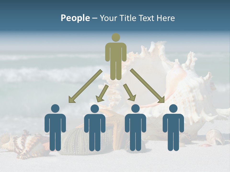 Beach Shell PowerPoint Template