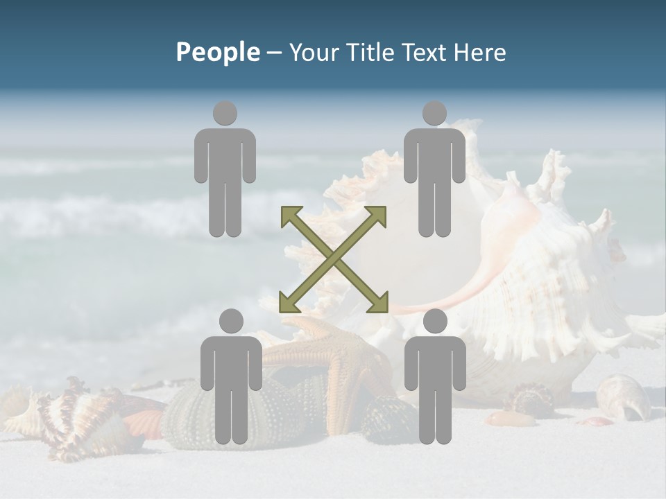 Beach Shell PowerPoint Template