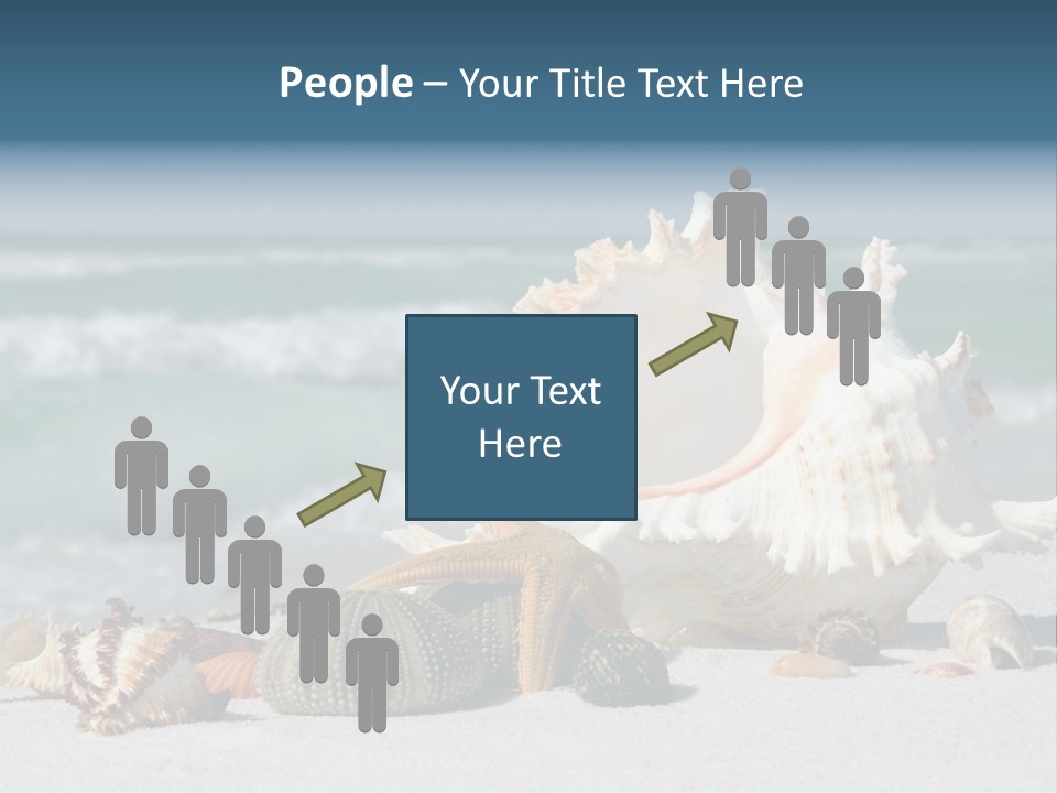 Beach Shell PowerPoint Template