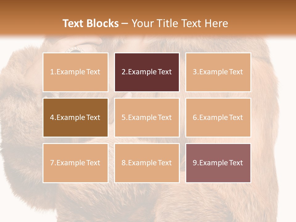 Posing Hairstyle Head PowerPoint Template