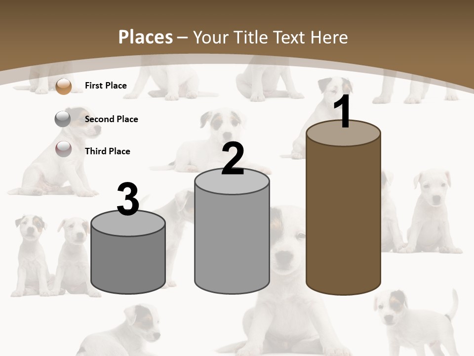 Parson Russell Terrier Puppies PowerPoint Template