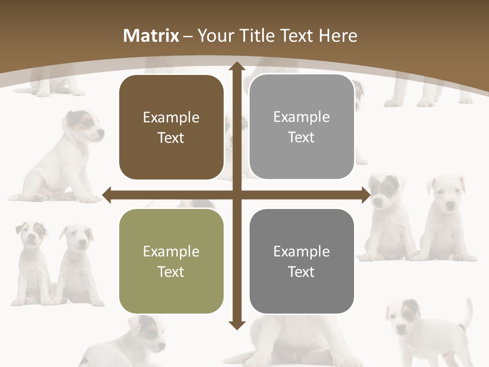 Parson Russell Terrier Puppies PowerPoint Template