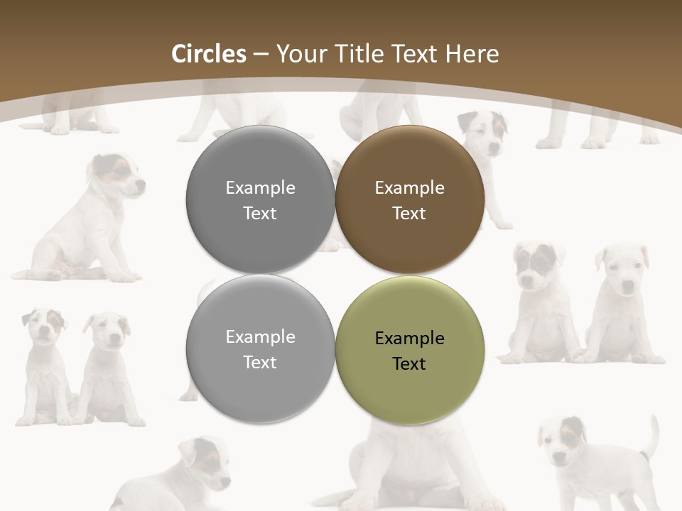 Parson Russell Terrier Puppies PowerPoint Template