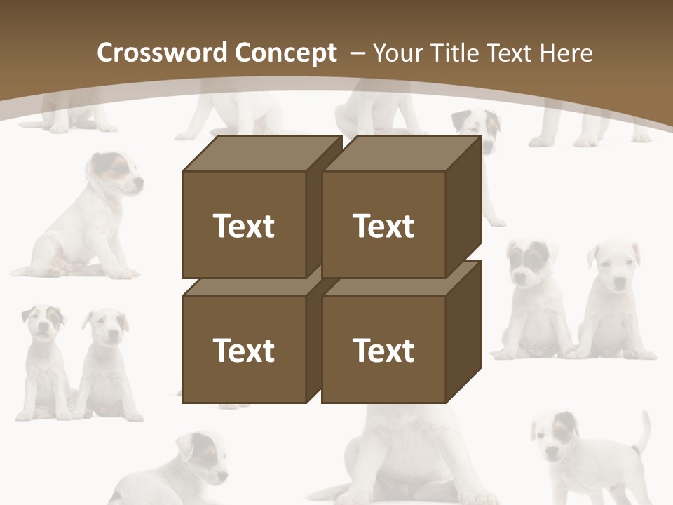 Parson Russell Terrier Puppies PowerPoint Template