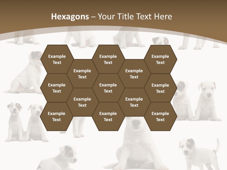 Parson Russell Terrier Puppies PowerPoint Template