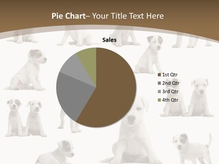 Parson Russell Terrier Puppies PowerPoint Template